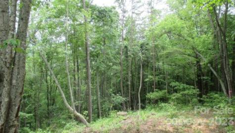 Lot 37 Deeplow Gap Bryson City NC 28713