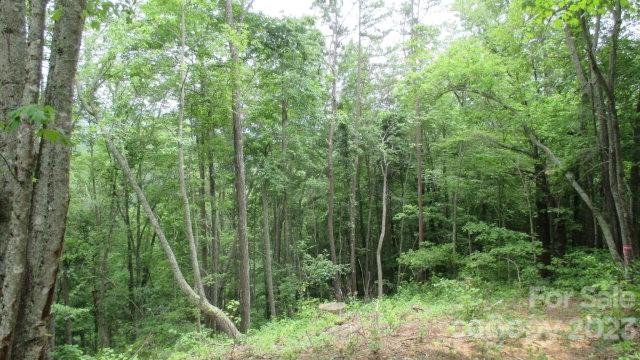 Lot 37 Deeplow Gap Bryson City NC 28713