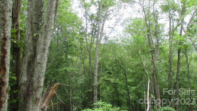 Lot 37 Deeplow Gap Bryson City NC 28713