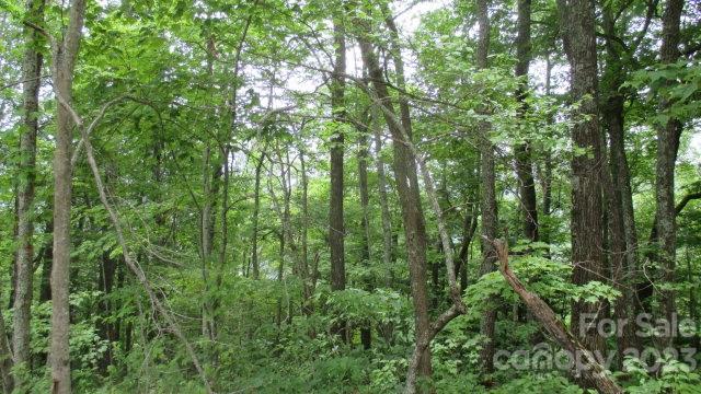 Lot 37 Deeplow Gap Bryson City NC 28713