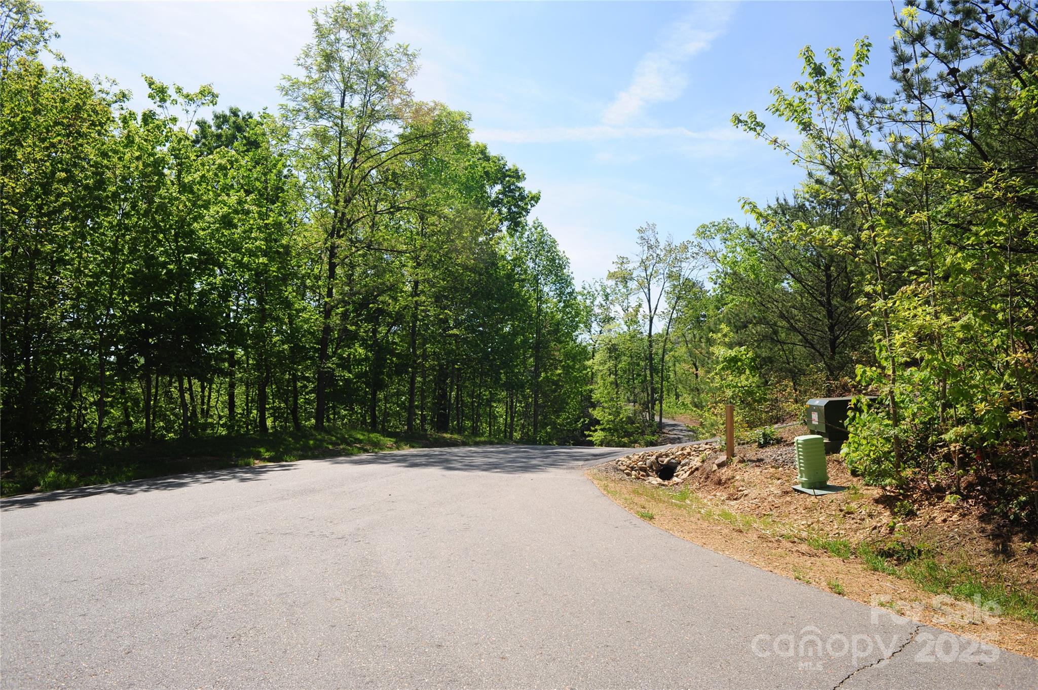 99999 Mountain Falls Trail Black Mountain NC 28711