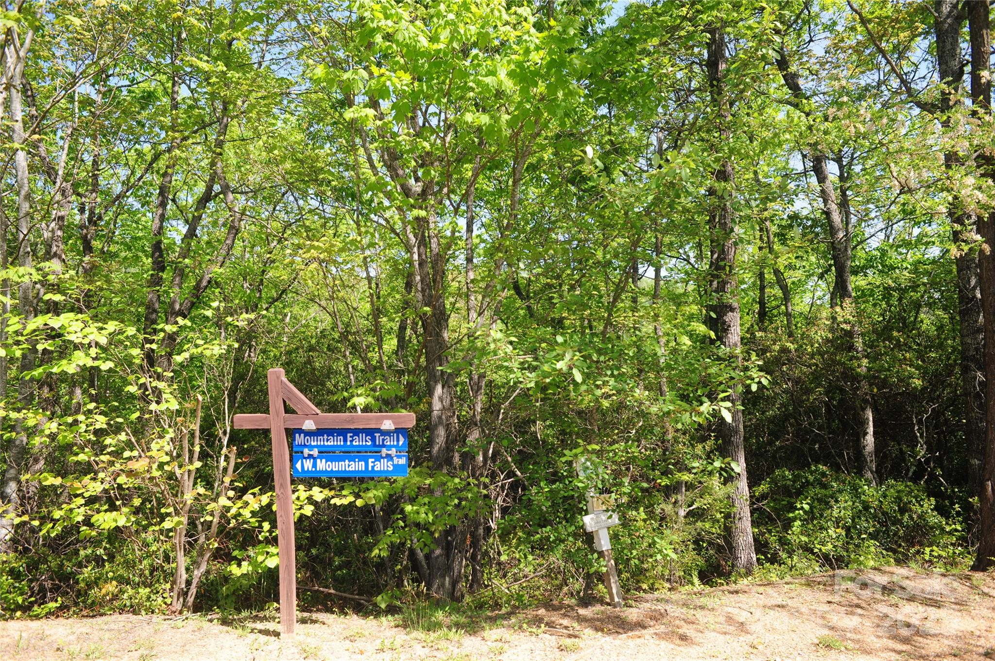 99999 Mountain Falls Trail Black Mountain NC 28711