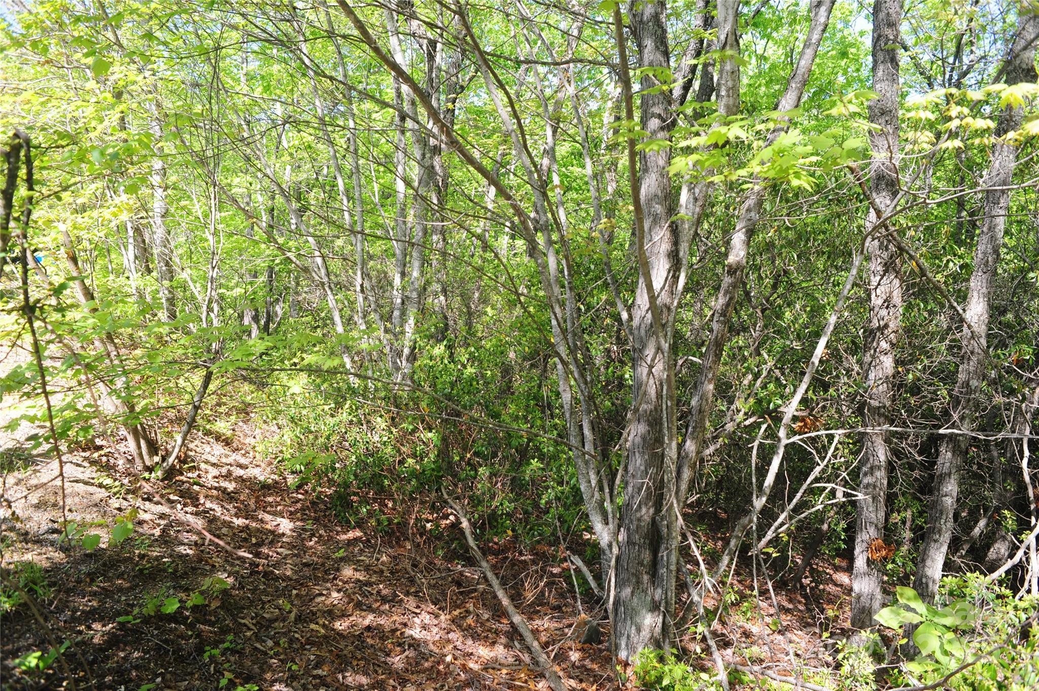 99999 Mountain Falls Trail Black Mountain NC 28711