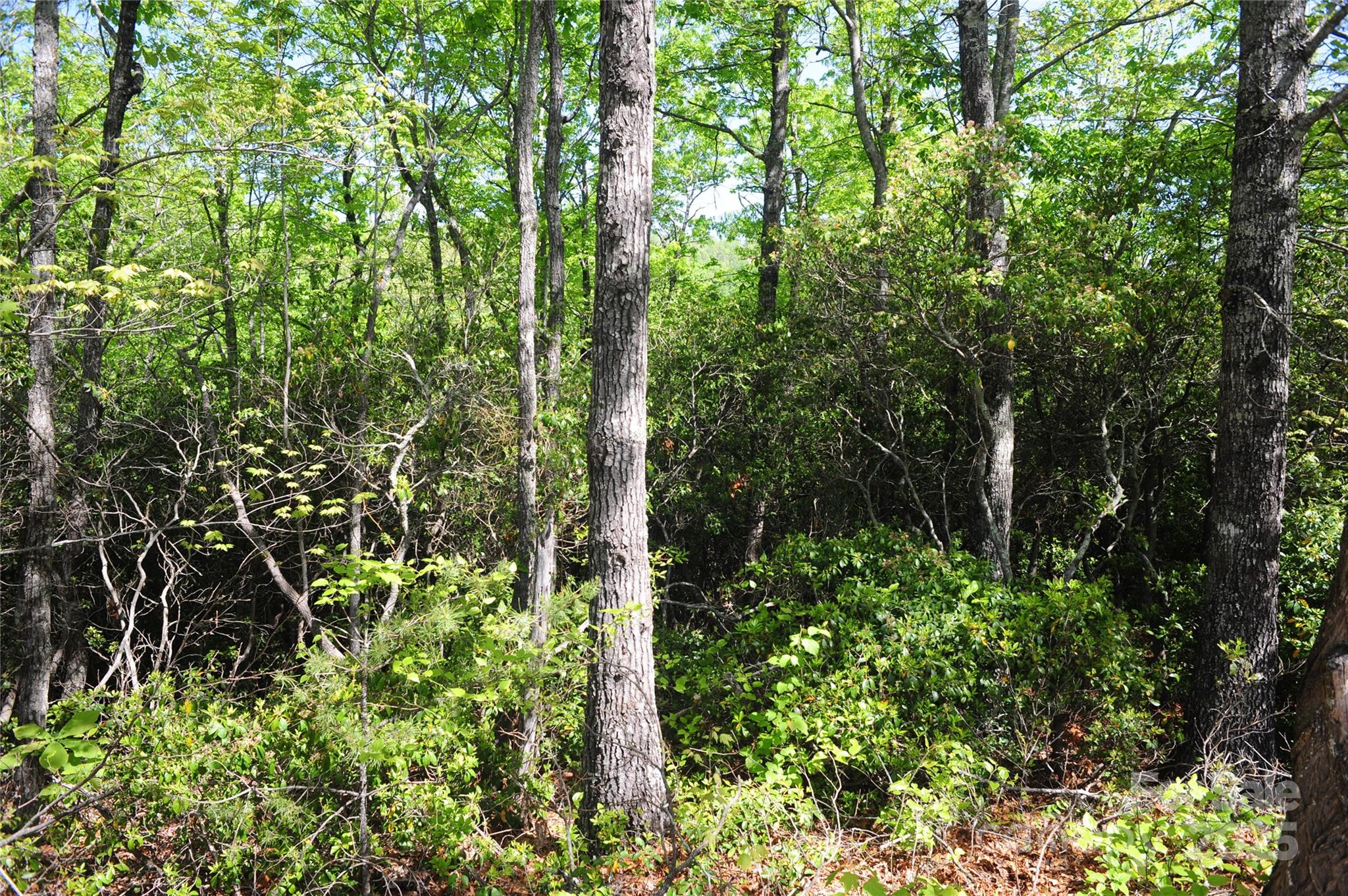 99999 Mountain Falls Trail Black Mountain NC 28711