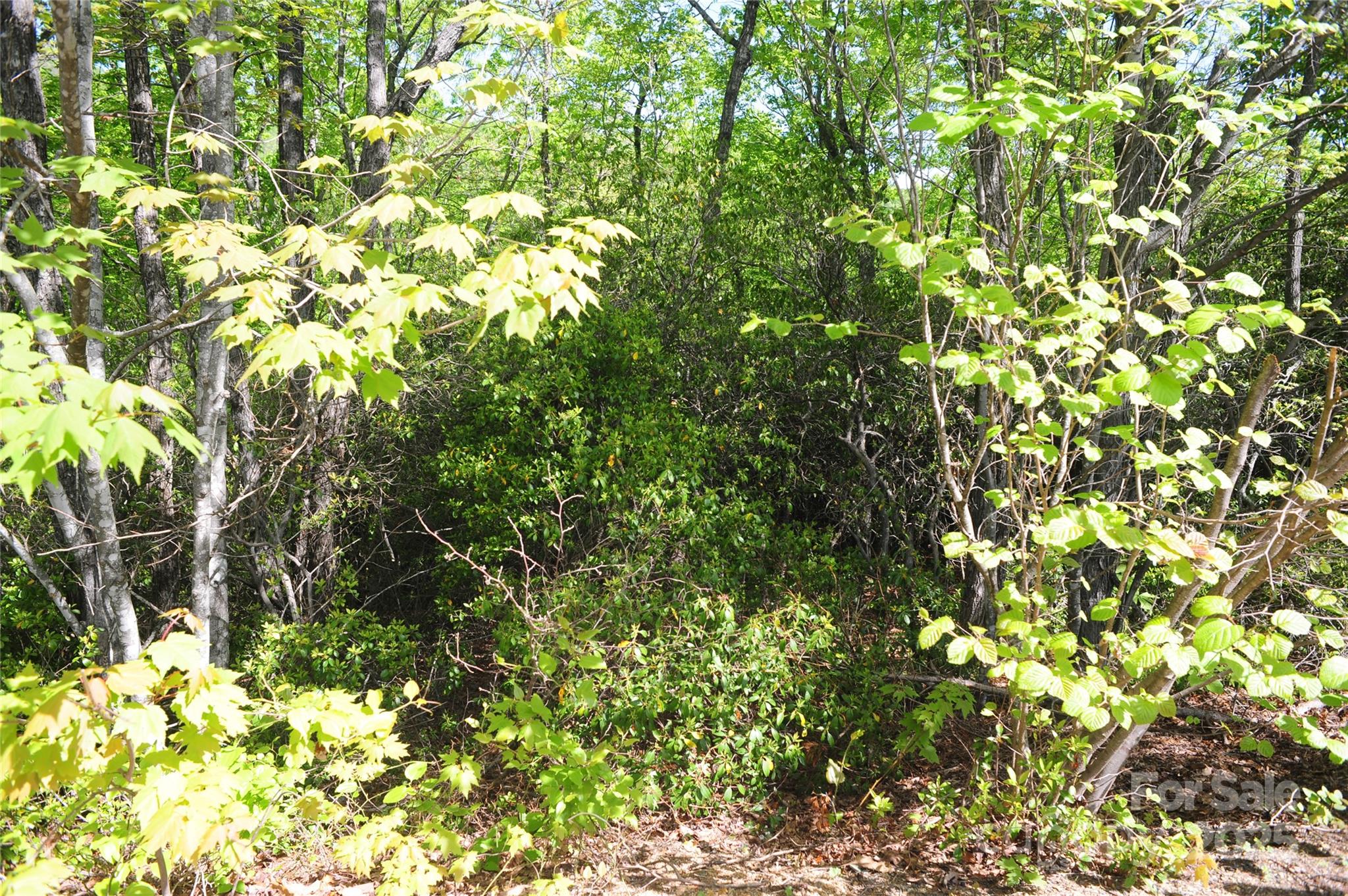 99999 Mountain Falls Trail Black Mountain NC 28711