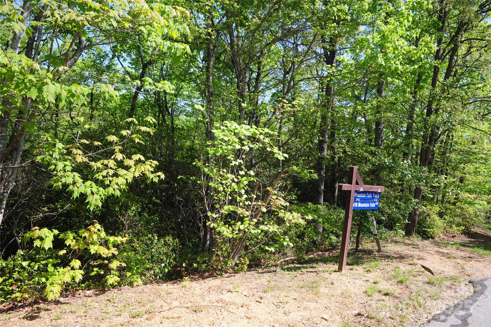 99999 Mountain Falls Trail Black Mountain NC 28711