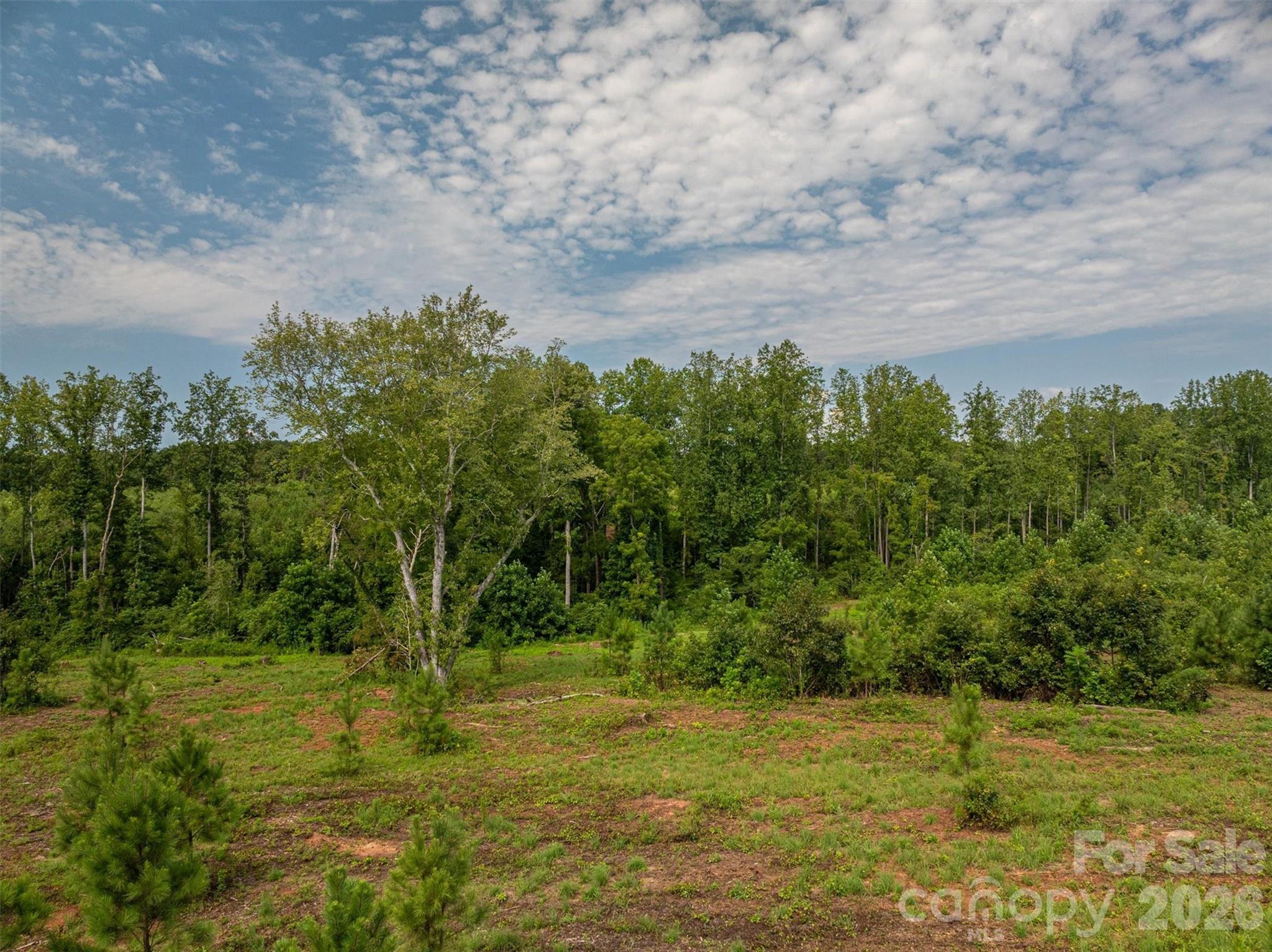 00 Mccurry Farm Lane Lincolnton NC 28092