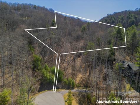 11 Franklin Trace Drive Asheville NC 28804