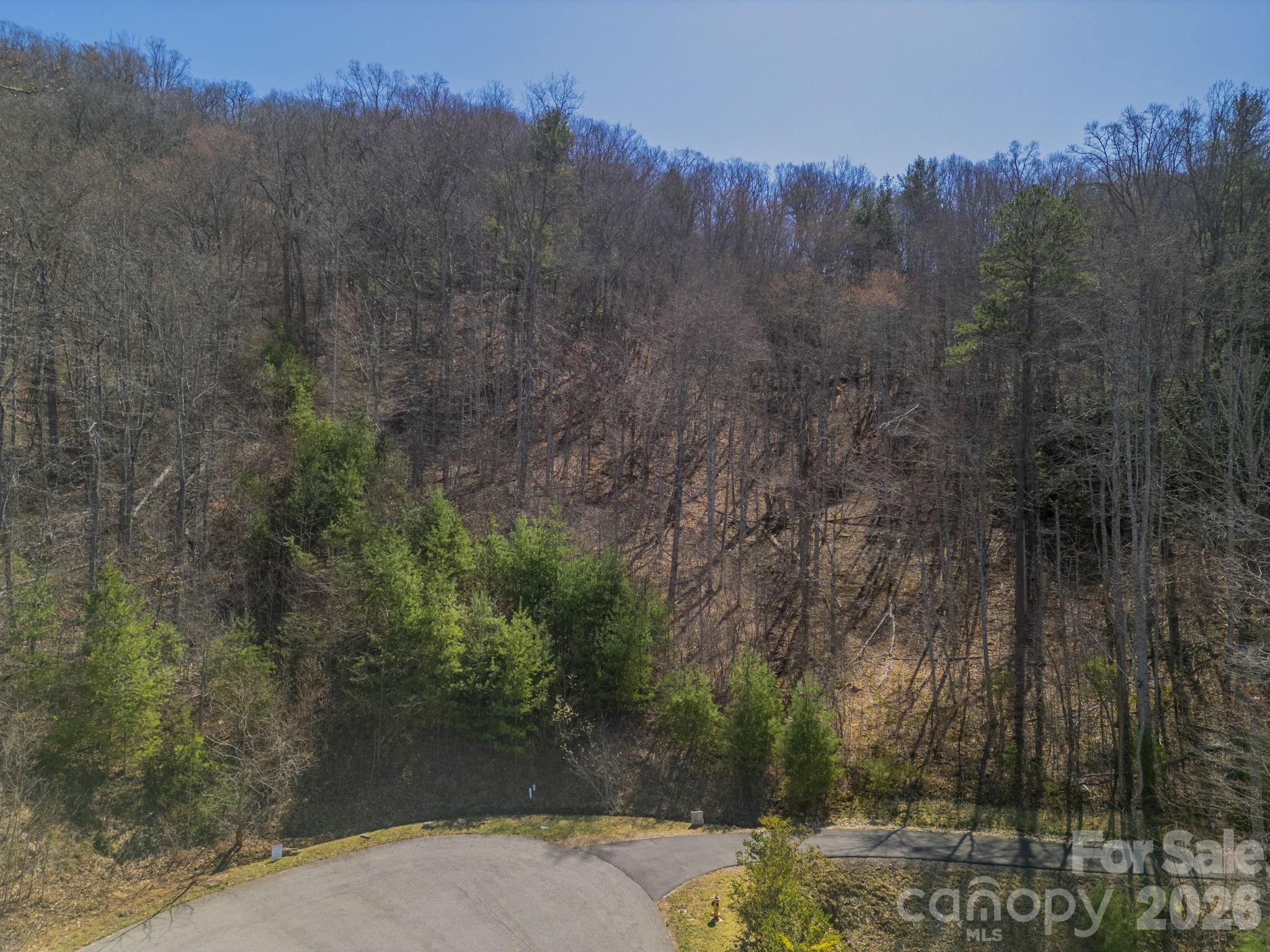 11 Franklin Trace Drive Asheville NC 28804