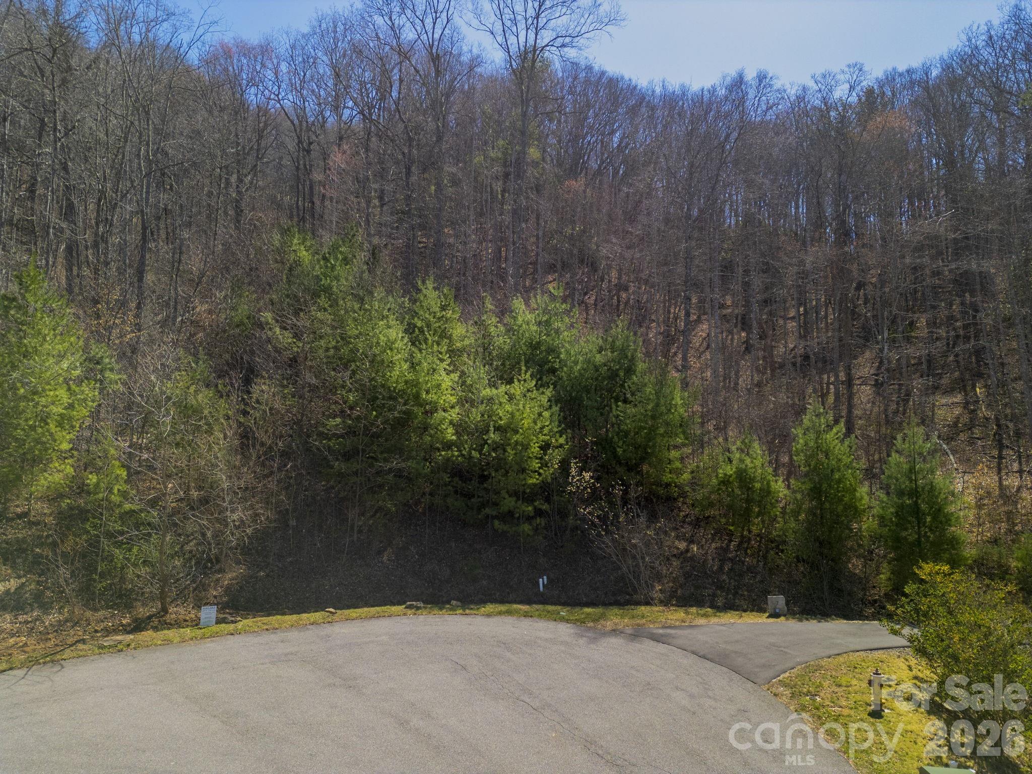 11 Franklin Trace Drive Asheville NC 28804