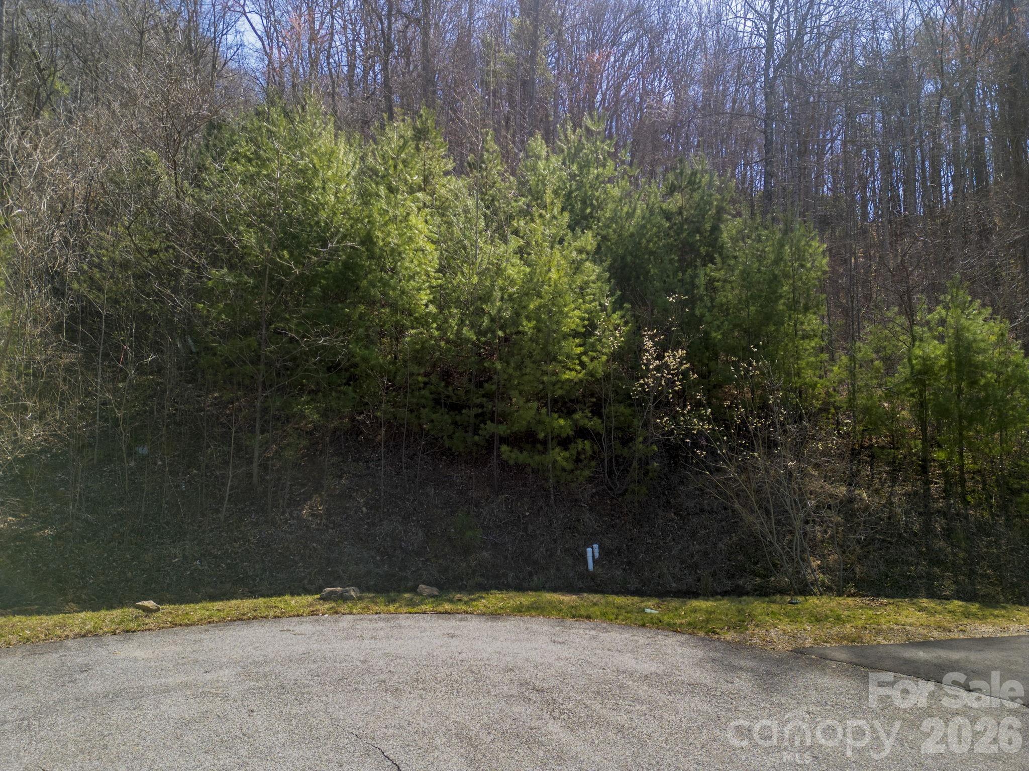 11 Franklin Trace Drive Asheville NC 28804
