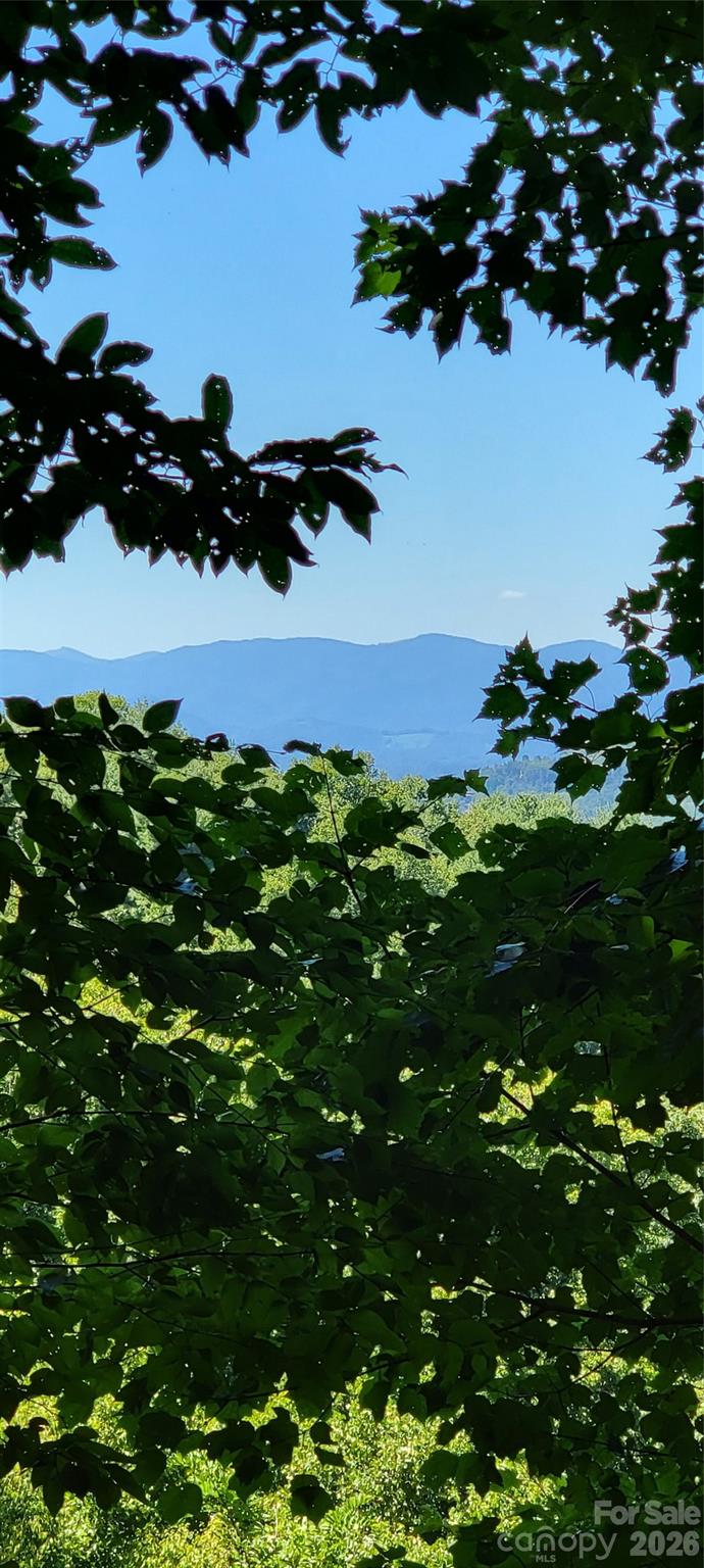 11 Franklin Trace Drive Asheville NC 28804