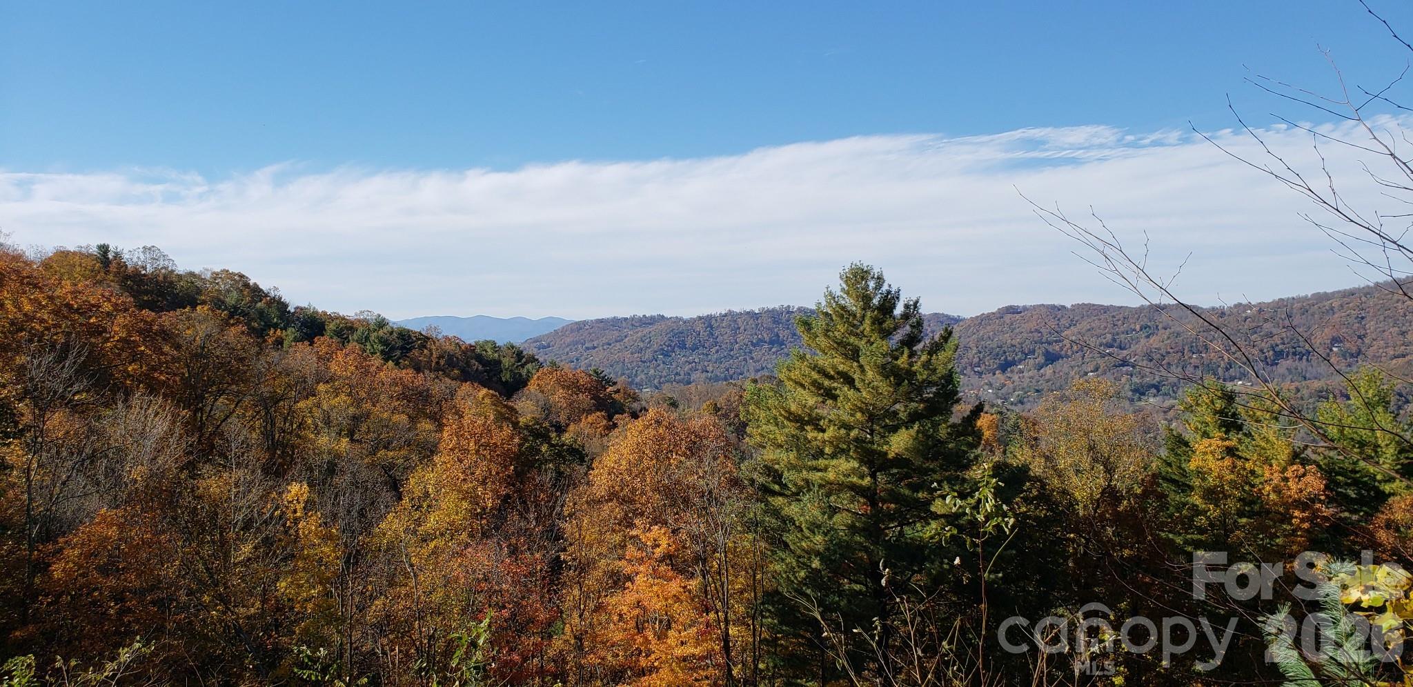 11 Franklin Trace Drive Asheville NC 28804