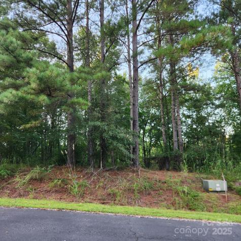 115 Scenic Ridge Drive Mooresboro NC 28114