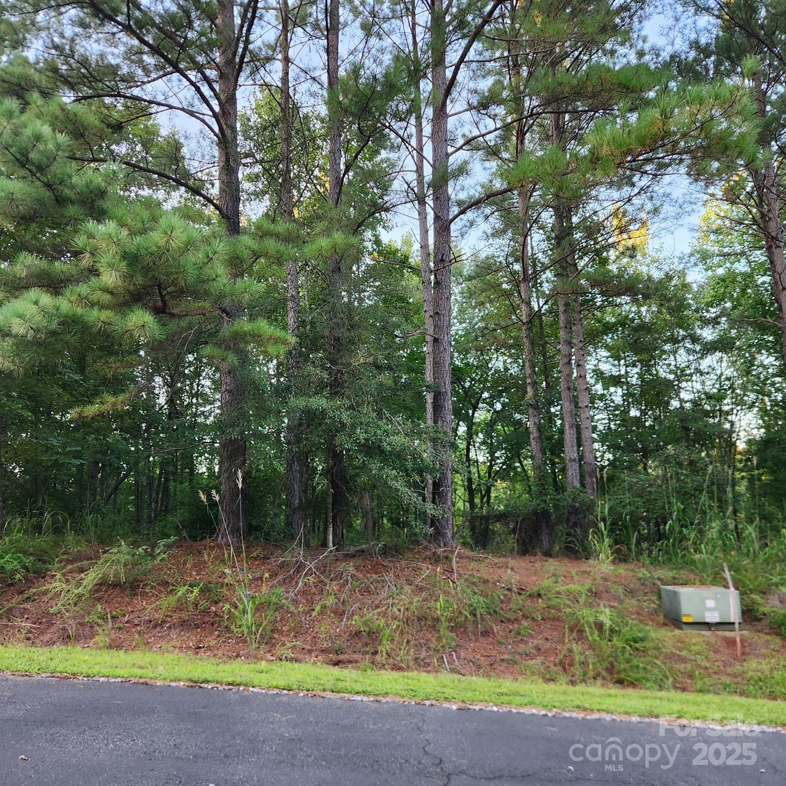 115 Scenic Ridge Drive Mooresboro NC 28114