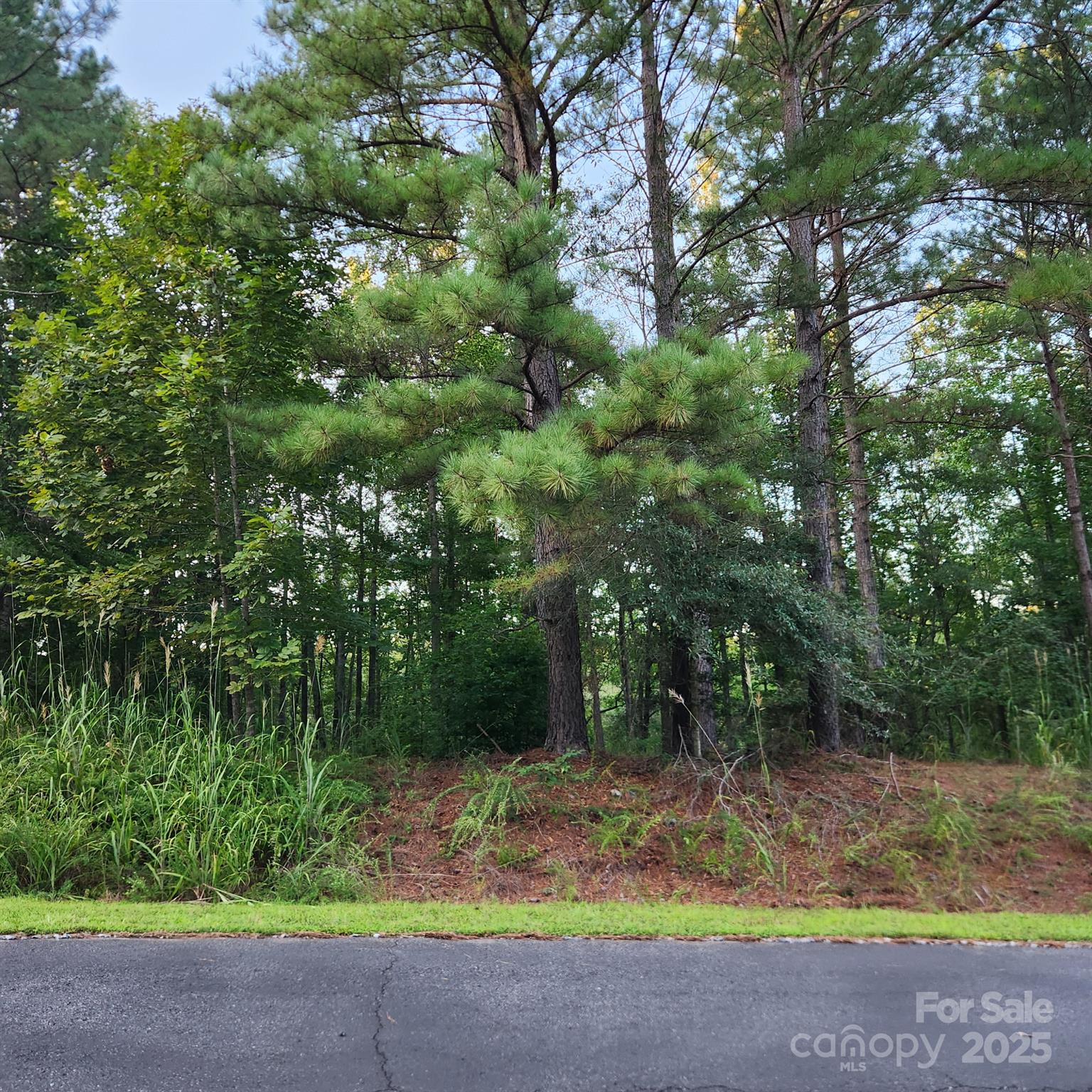 115 Scenic Ridge Drive Mooresboro NC 28114