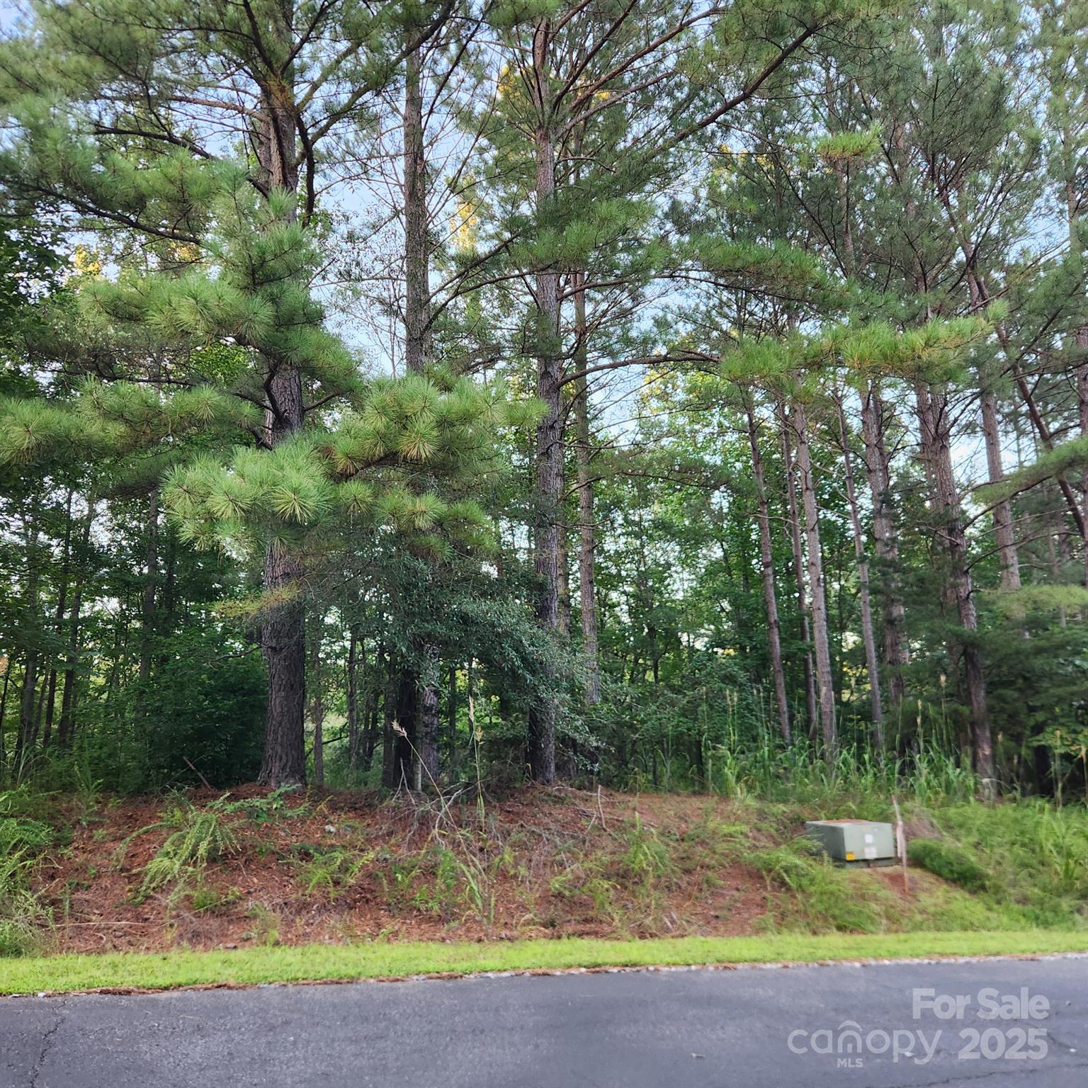 115 Scenic Ridge Drive Mooresboro NC 28114