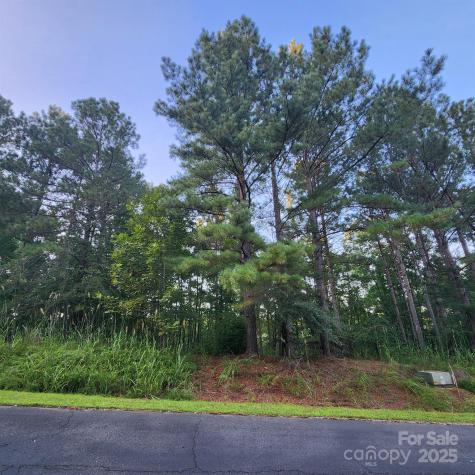 115 Scenic Ridge Drive Mooresboro NC 28114