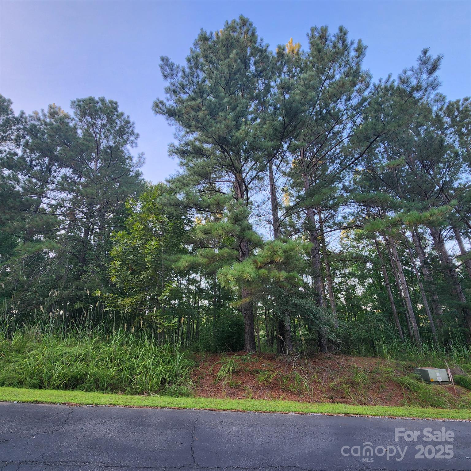 115 Scenic Ridge Drive Mooresboro NC 28114
