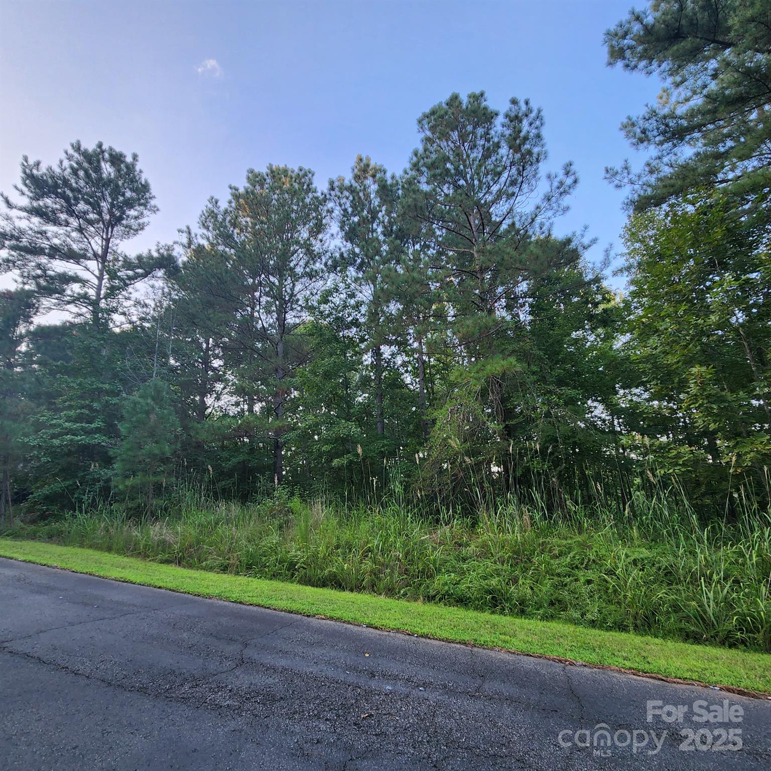 115 Scenic Ridge Drive Mooresboro NC 28114