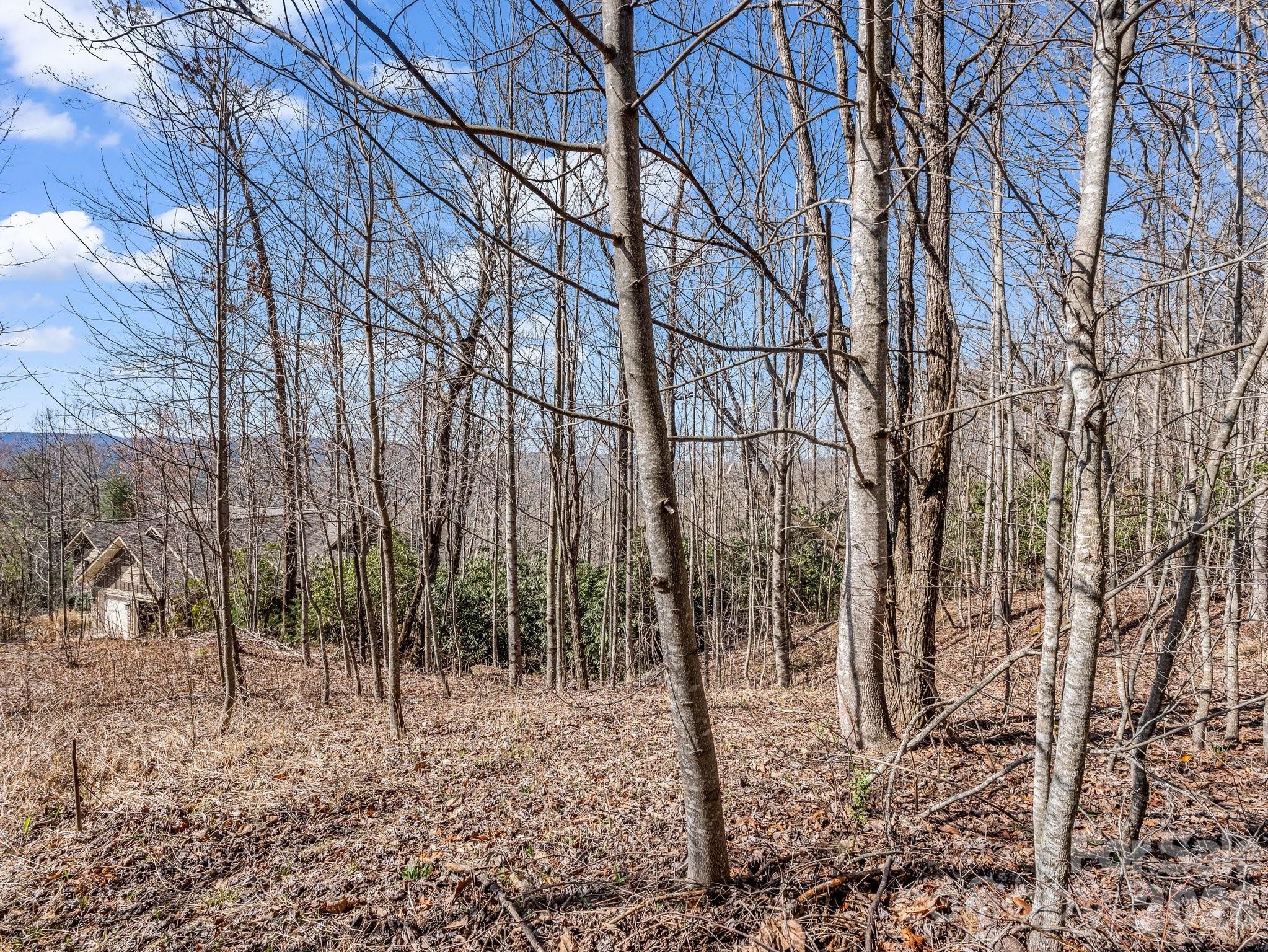 142 Mountain Elder Lane Hendersonville NC 28739