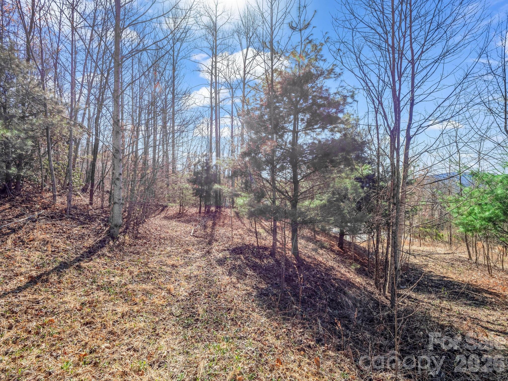 142 Mountain Elder Lane Hendersonville NC 28739