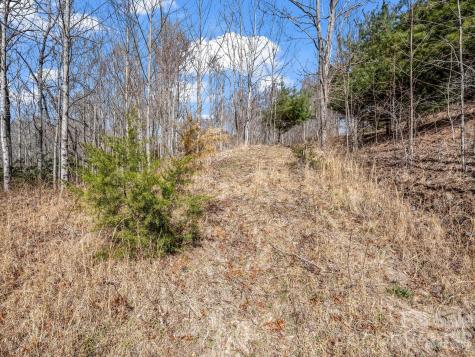 142 Mountain Elder Lane Hendersonville NC 28739