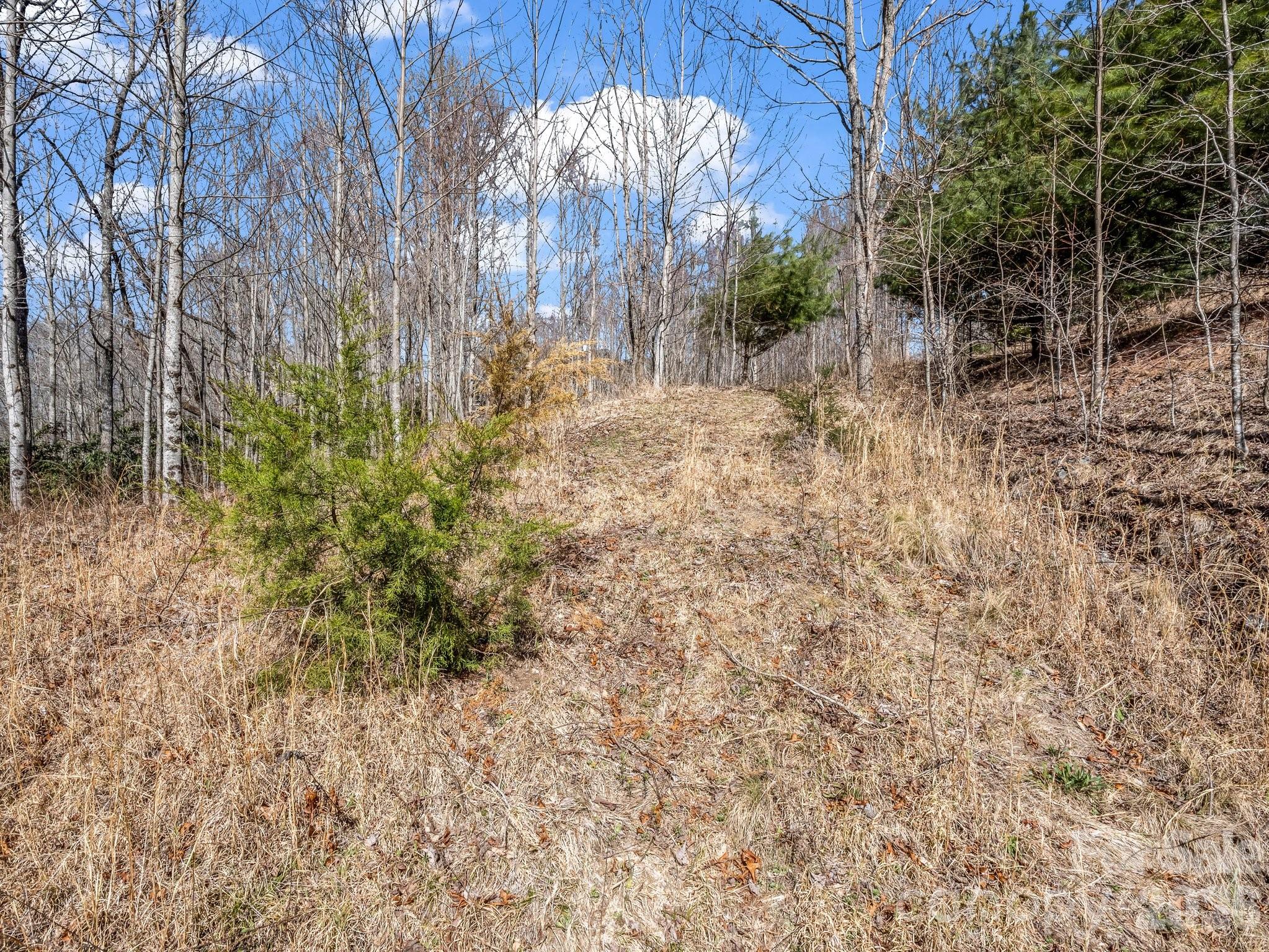 142 Mountain Elder Lane Hendersonville NC 28739