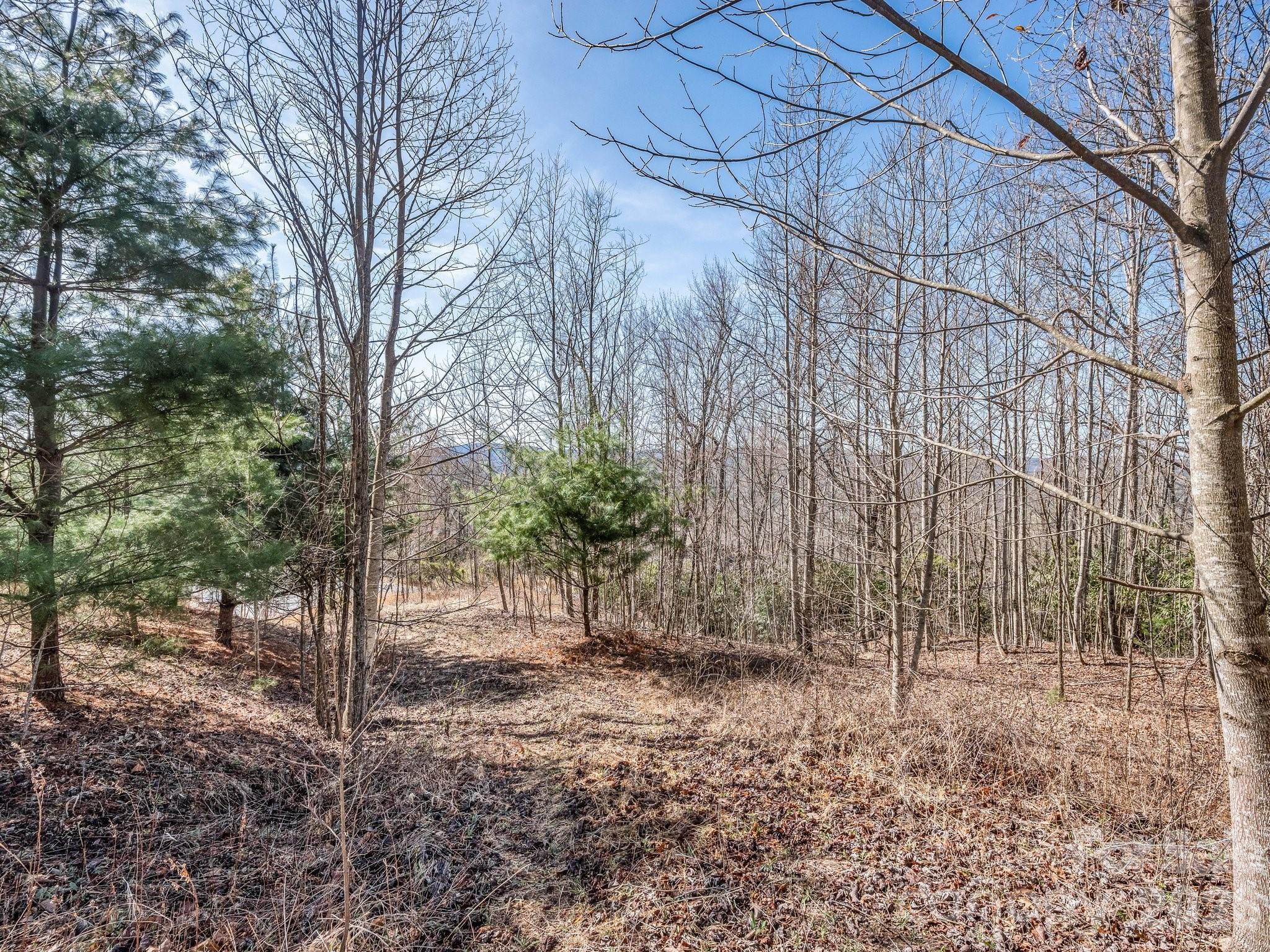 142 Mountain Elder Lane Hendersonville NC 28739