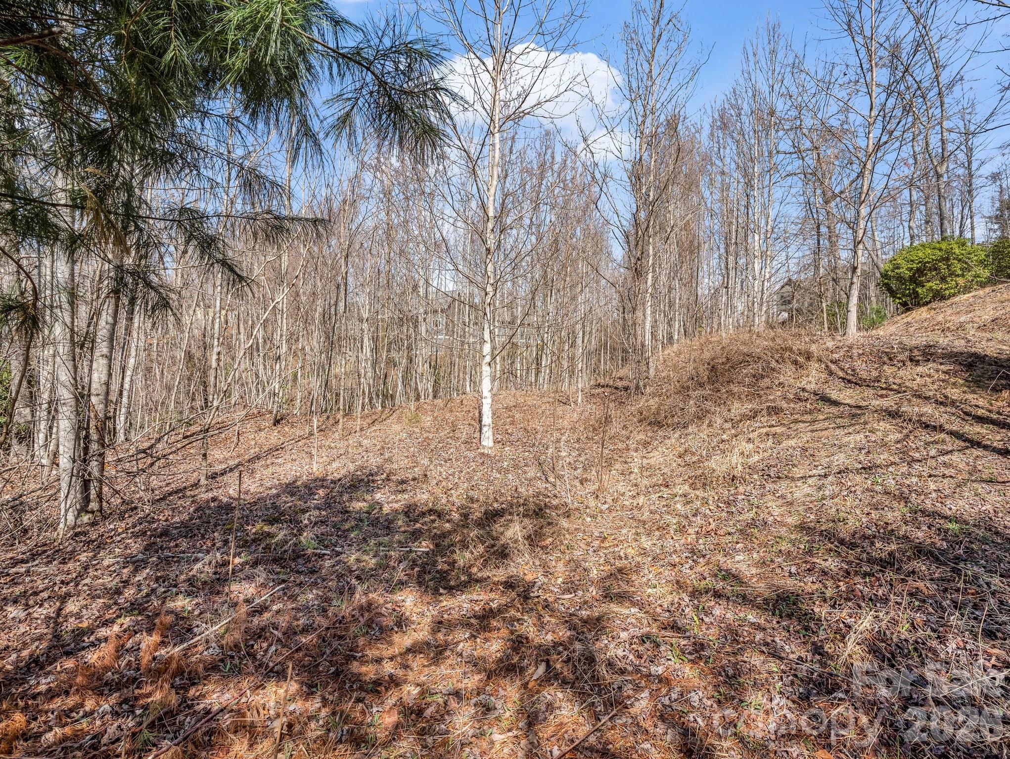 142 Mountain Elder Lane Hendersonville NC 28739