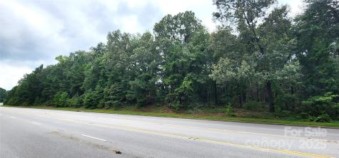 510 Van Lingle Mungo Boulevard Pageland SC 29728