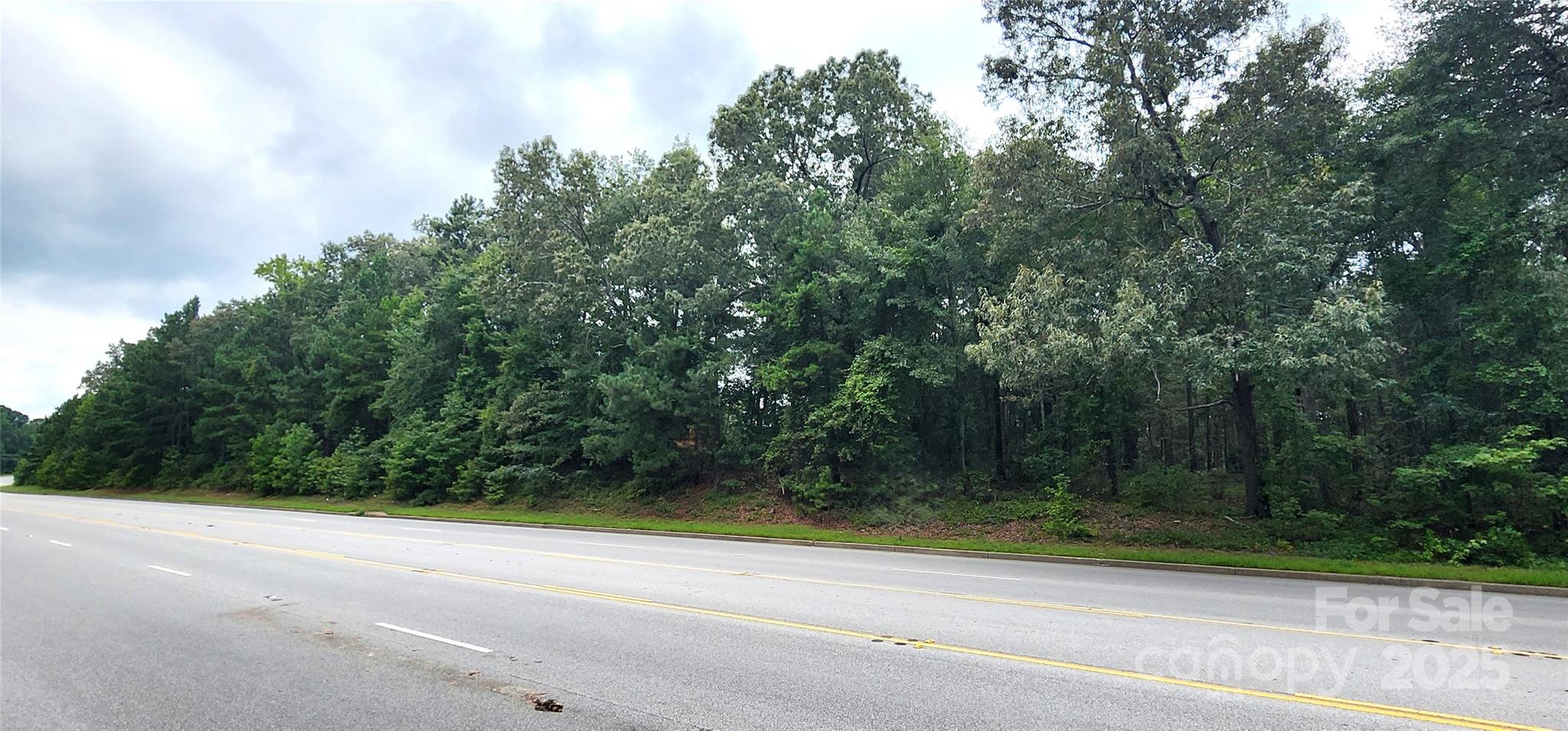 510 Van Lingle Mungo Boulevard Pageland SC 29728