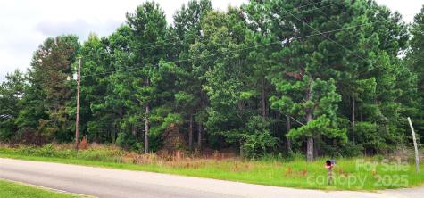 510 Van Lingle Mungo Boulevard Pageland SC 29728