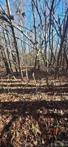 00 Gettys Road Ellenboro NC 28040