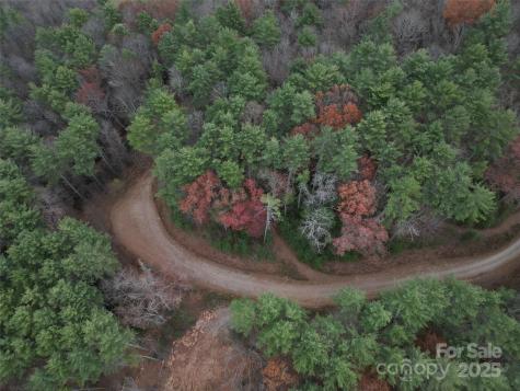 13 Wildlife Drive Clyde NC 28721