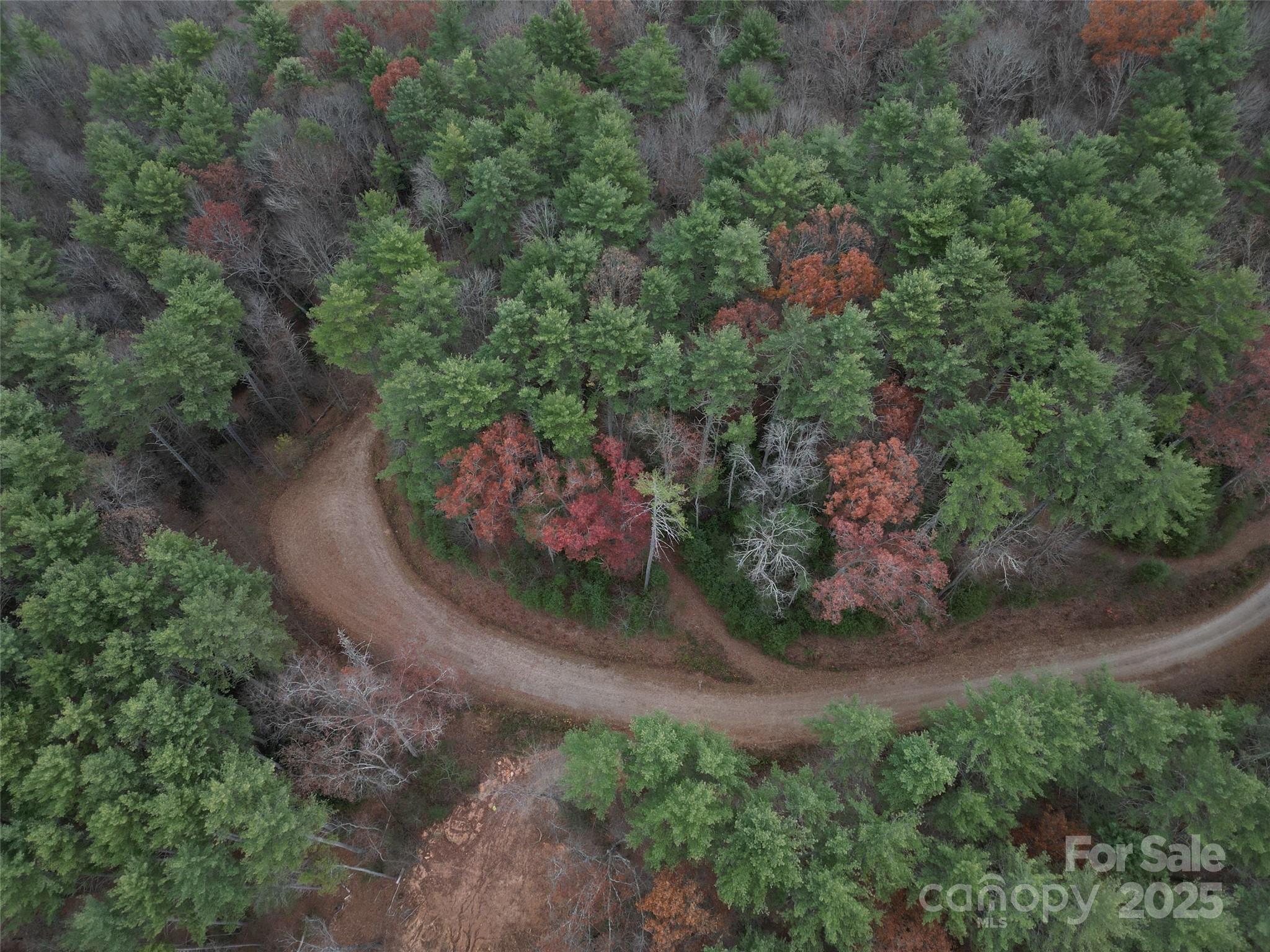 13 Wildlife Drive Clyde NC 28721