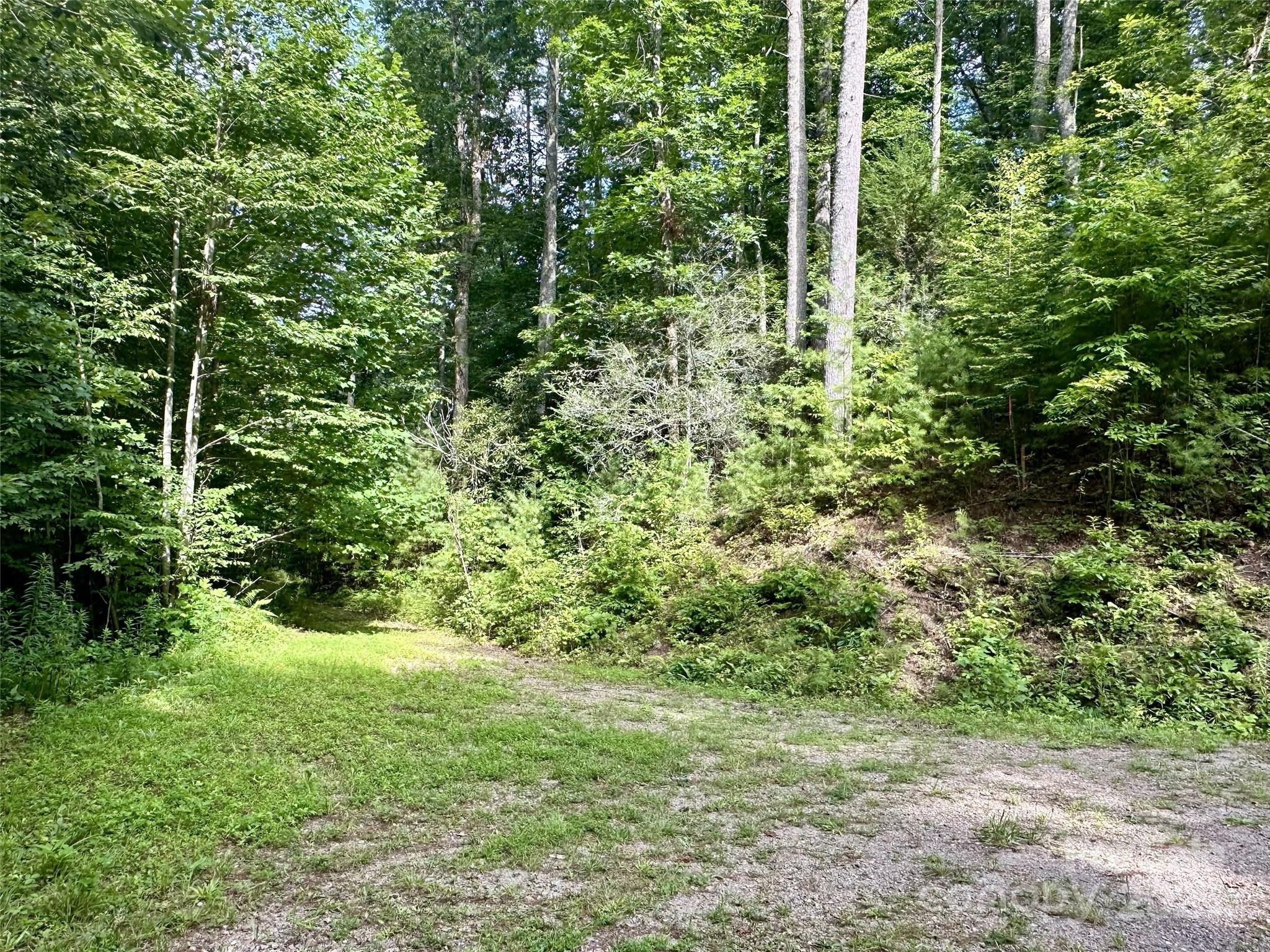 13 Wildlife Drive Clyde NC 28721