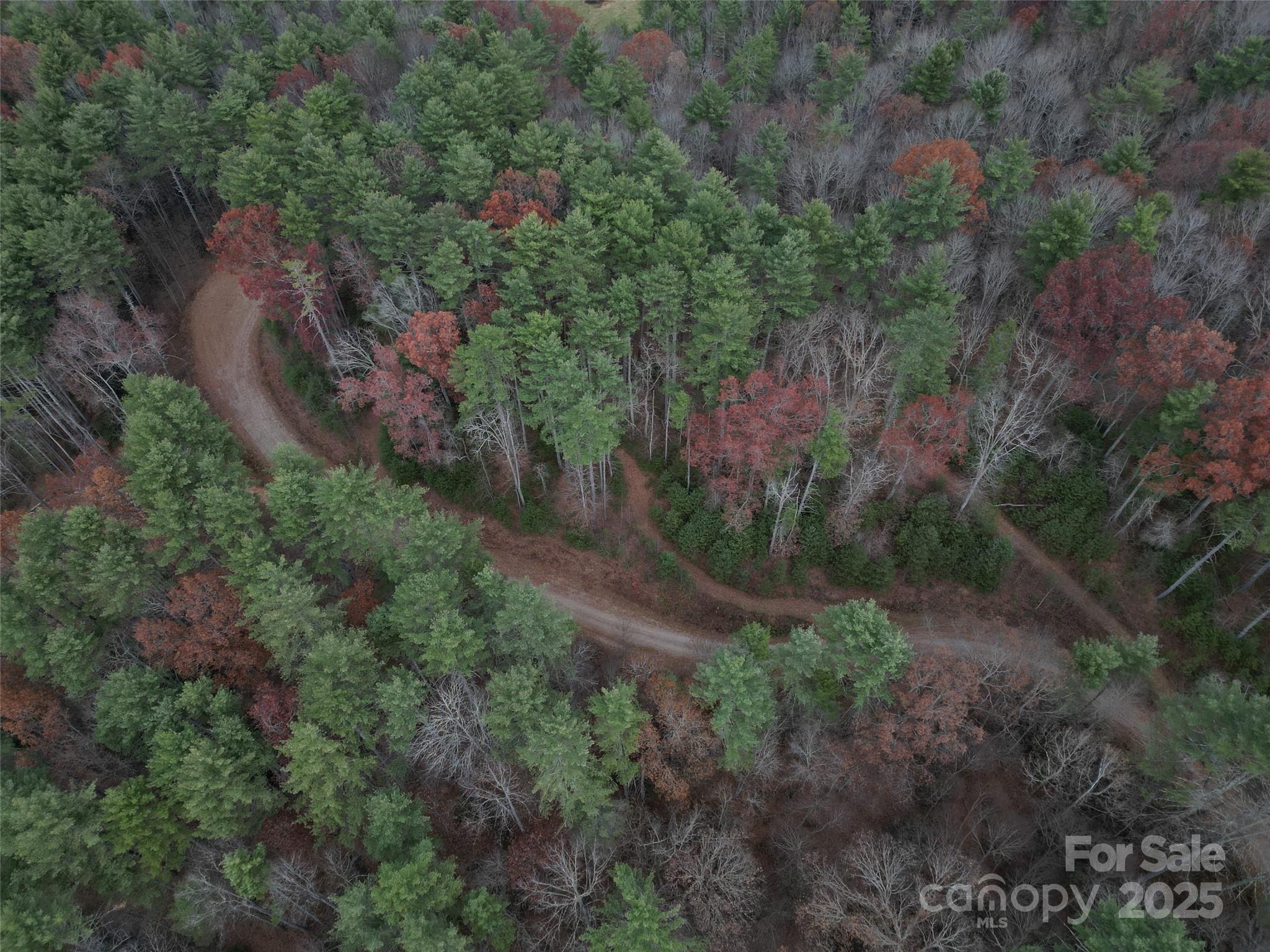 13 Wildlife Drive Clyde NC 28721