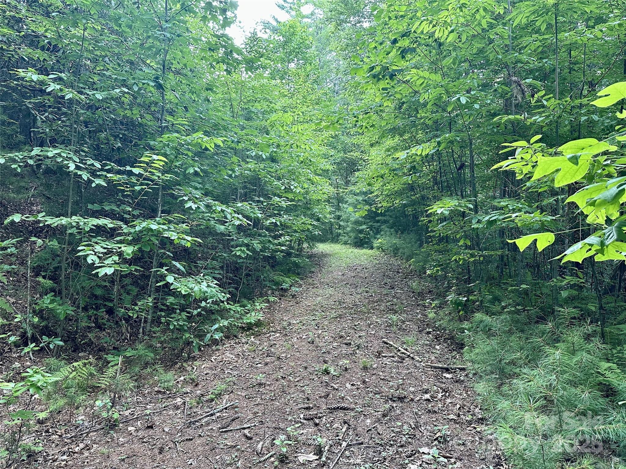 13 Wildlife Drive Clyde NC 28721