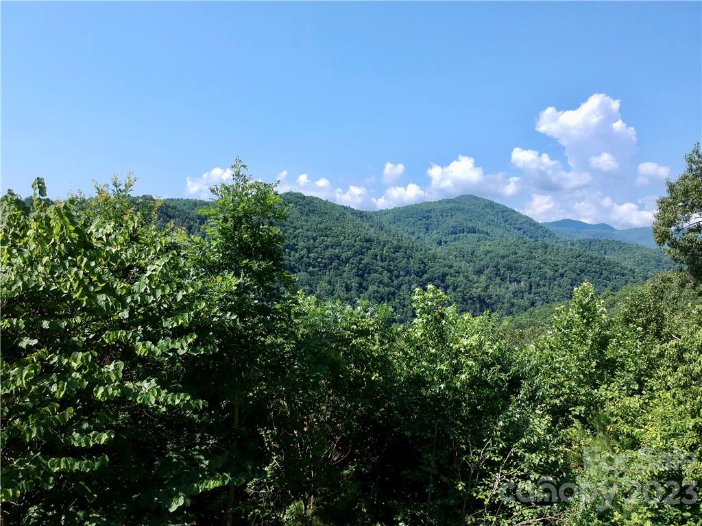677 White Water Way Marshall NC 28753