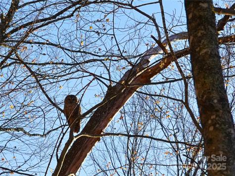 48 Benfield Road Weaverville NC 28787