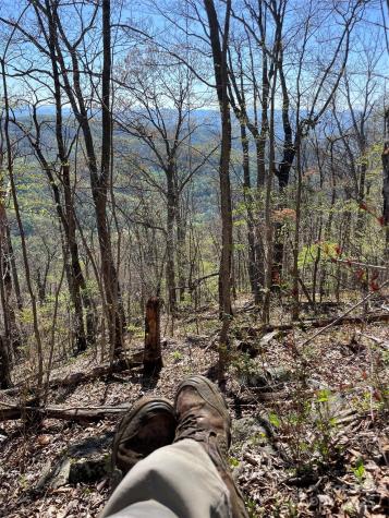 48 Benfield Road Weaverville NC 28787