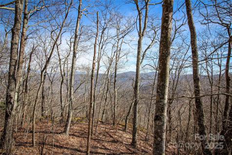 48 Benfield Road Weaverville NC 28787