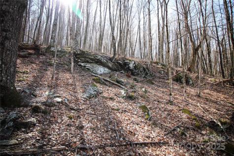 48 Benfield Road Weaverville NC 28787