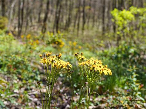 48 Benfield Road Weaverville NC 28787