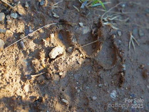 48 Benfield Road Weaverville NC 28787