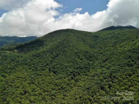 48 Benfield Road Weaverville NC 28787