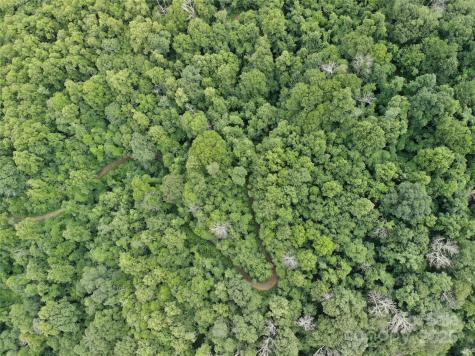 48 Benfield Road Weaverville NC 28787