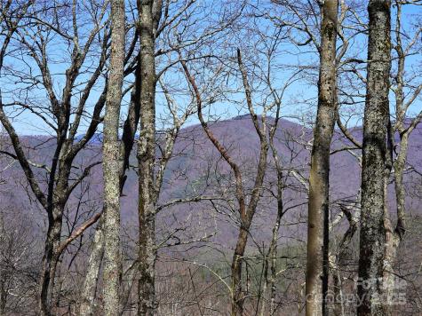 48 Benfield Road Weaverville NC 28787