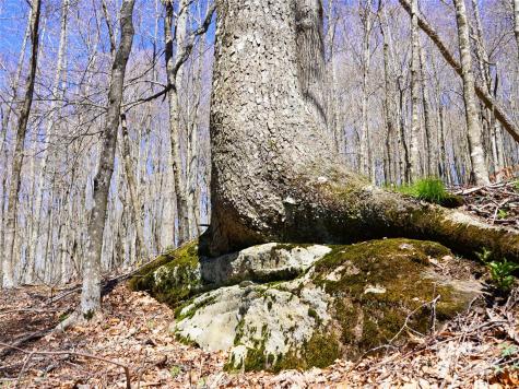 48 Benfield Road Weaverville NC 28787